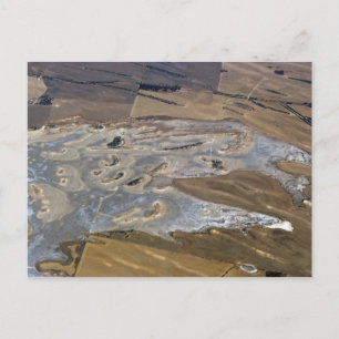 abstraktes Tier Postkarte