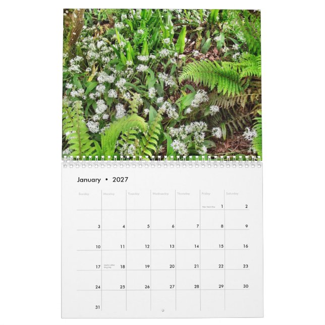 Abstufungens-Kalender Irlands 40 Kalender (Jan 2027)