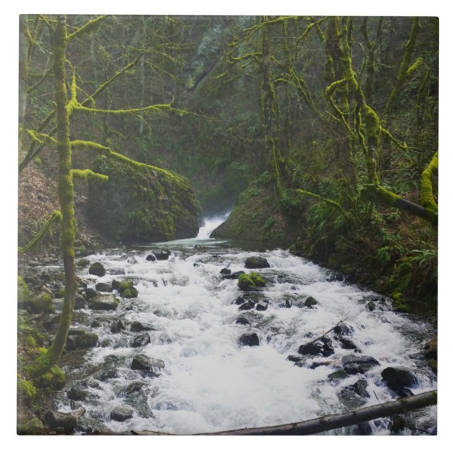 Absturz von Bridal Veil Falls, OR Fliese (Vorderseite)