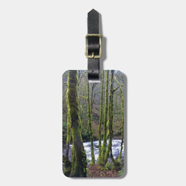 Absturz von Bridal Veil Falls, OR Gepäckanhänger (Vorderseite vertikal)