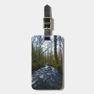 Absturz von Bridal Veil Falls, OR Gepäckanhänger