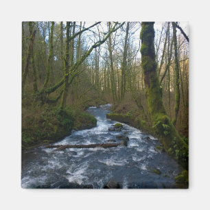 Absturz von Bridal Veil Falls, OR Magnet