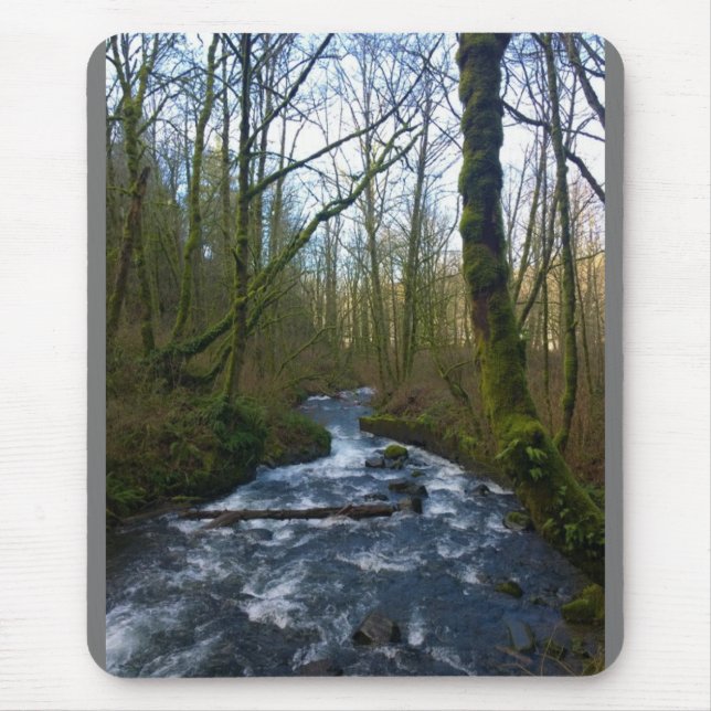 Absturz von Bridal Veil Falls, OR Mousepad (Vorne)