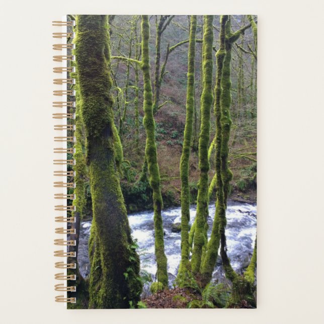 Absturz von Bridal Veil Falls, OR Planer (Vorderseite)