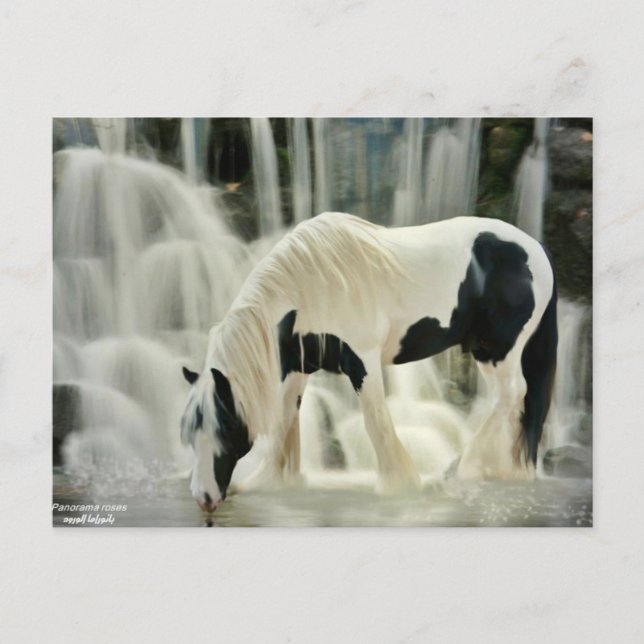 Abstürze, Pferd, Fluss, schöne Aussicht Postkarte (Vorderseite)