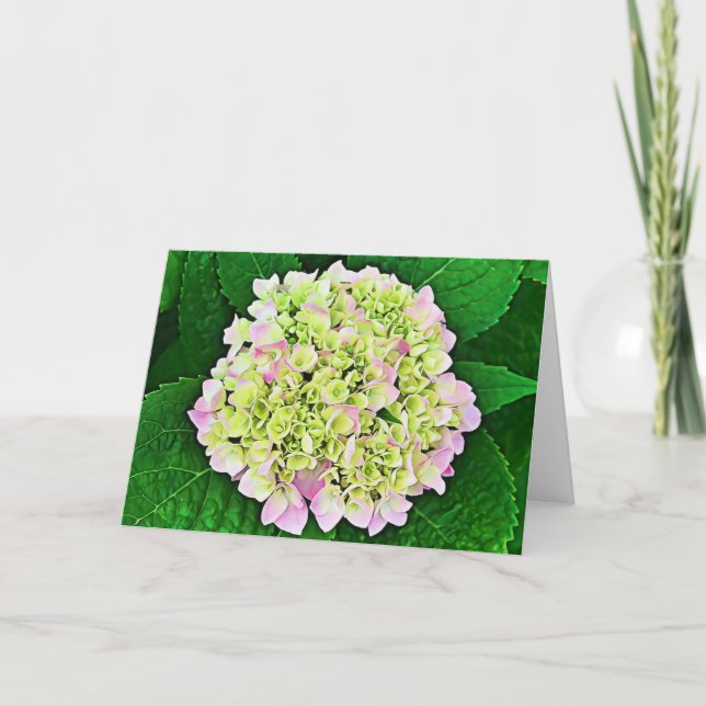 Abundant Hydrangea Scripture Card 1 Timothy 1:14 Karte (Vorderseite)