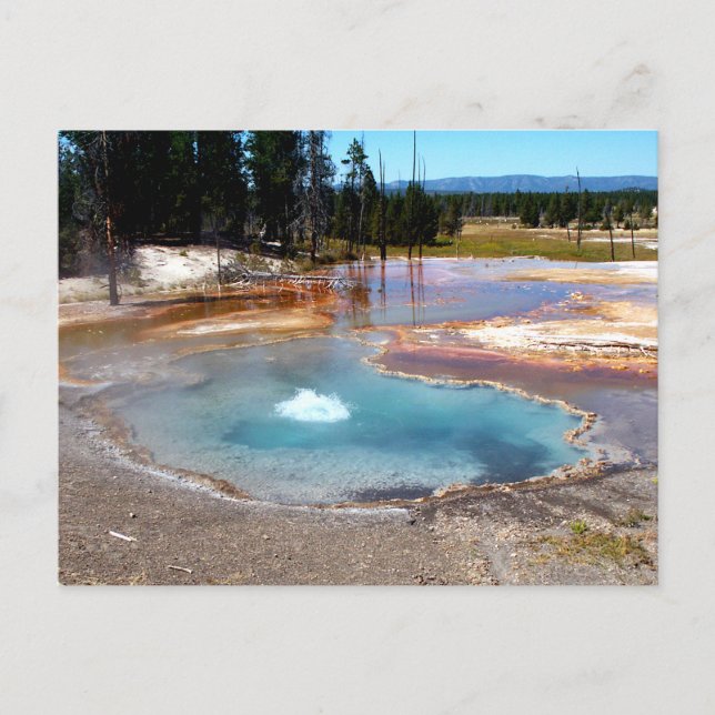 Abyss Pool Hot Springs Yellowstone Nationalpark Postkarte (Vorderseite)