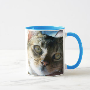 Abyssinian Blue Male Cat Tasse