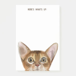 Abyssinian Cat   Bearbeitbarer Text   Hier ist, wa Post-it Klebezettel