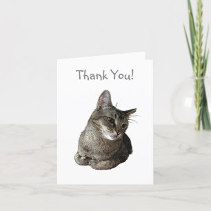 Abyssinian Cat Danke-Card Dankeskarte