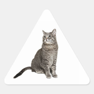 Abyssinian Cat Dreieckiger Aufkleber