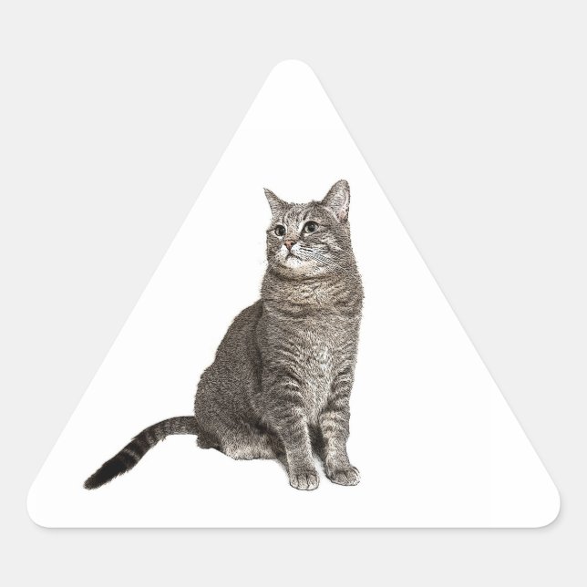 Abyssinian Cat Dreieckiger Aufkleber (Vorderseite)