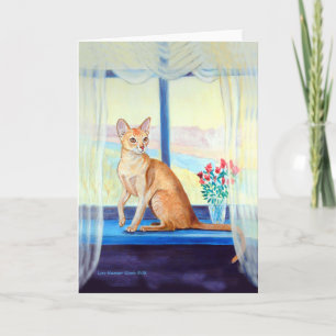 Abyssinian Cat Greeting Cards Karte