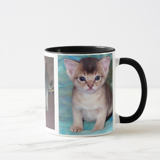 Abyssinian Cat Kittens Tasse (Rechts)