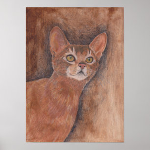 Abyssinian Cat Poster