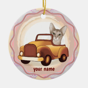 Abyssinian Chat Conducteur de voiture ornement