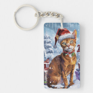 Abyssinian Chat Winter Wonderland Noël Joie