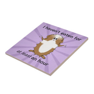 Abyssinian Guinea Pig Comic Fliese