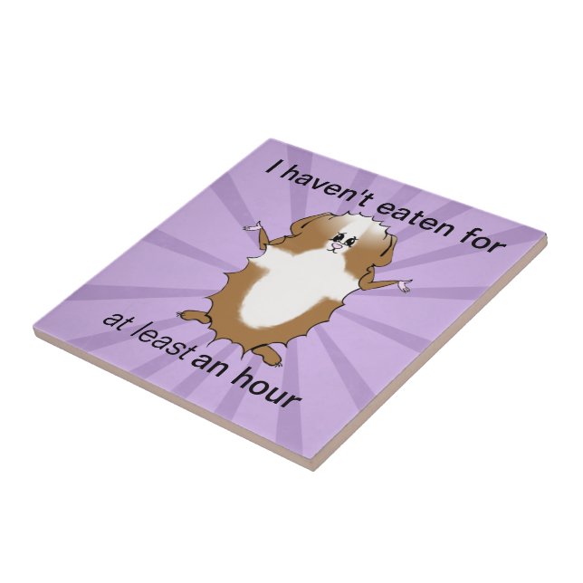Abyssinian Guinea Pig Comic Fliese (Seite)