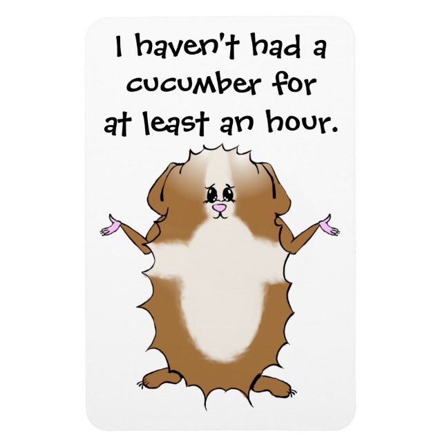 Abyssinian Guinea Pig Magnet (Vertikal)