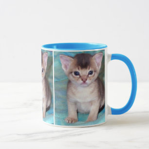 Abyssinian Kitten Tasse