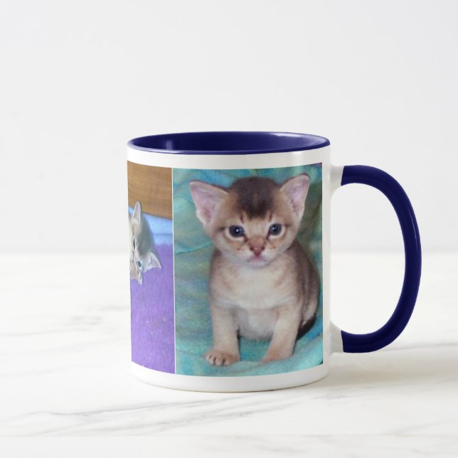 Abyssinian Kittens Tasse (Rechts)