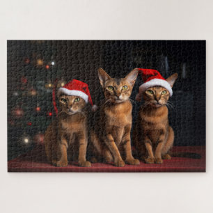 Abyssinier am Kamin Weihnachten