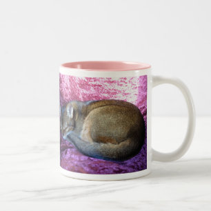 Abyssinische rötliche weibliche Katze, die es Zweifarbige Tasse