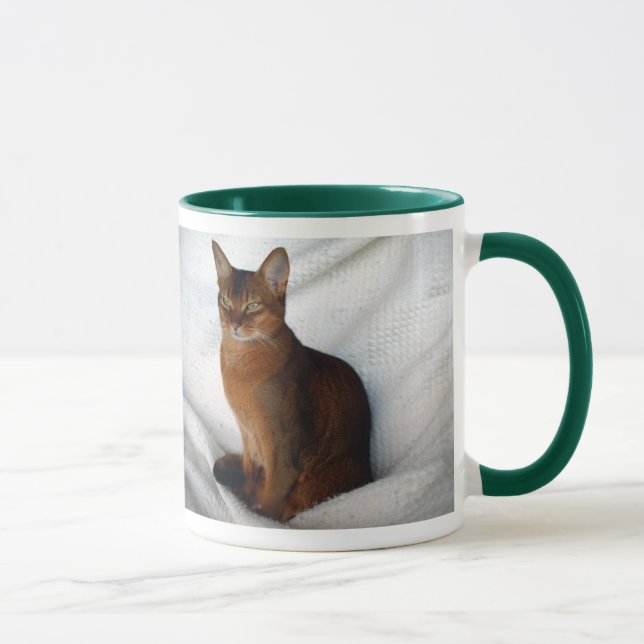 Abyssinische rötliche weibliche Katze Tasse (Rechts)