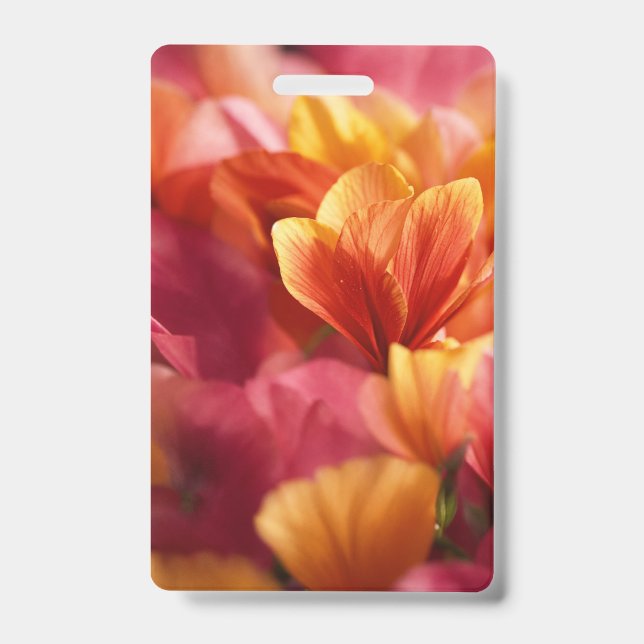 Abzeichen Ausweis (Vorderseite)