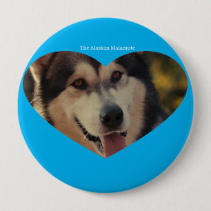 Abzeichen Button