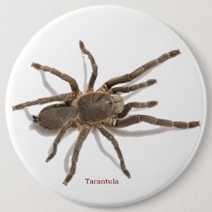 Abzeichen Button