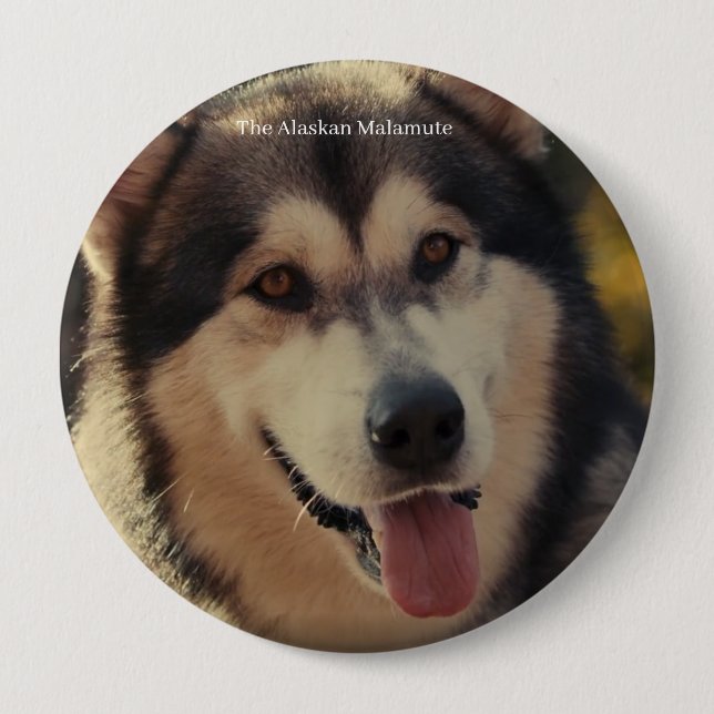 Abzeichen Button (Vorderseite)