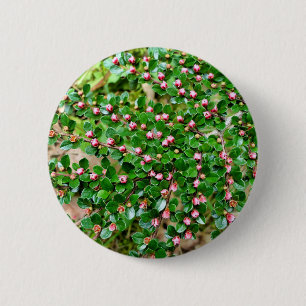 Abzeichen Cotonou-Osterwaalis Button