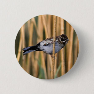 Abzeichen für die Rangierschiene Button