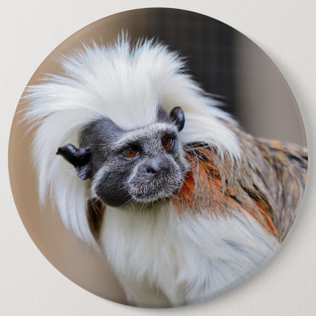 Abzeichen mit Baumwolle-Spitze Tamarinaffen Button (Vorderseite)