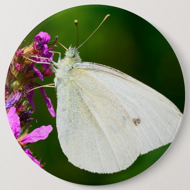 Abzeichen mit Schmetterling Button (Vorderseite)