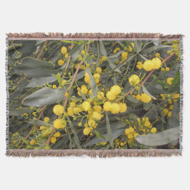 Acacia Jeu de couverture (Devant)