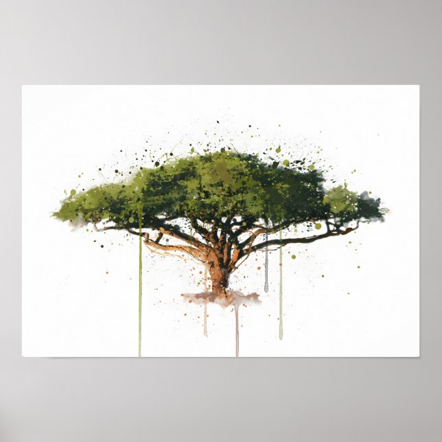 Acacia Poster (Vorne)