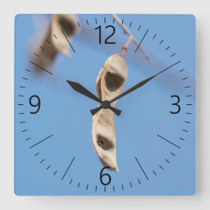 Acacia-Samen Quadratische Wanduhr