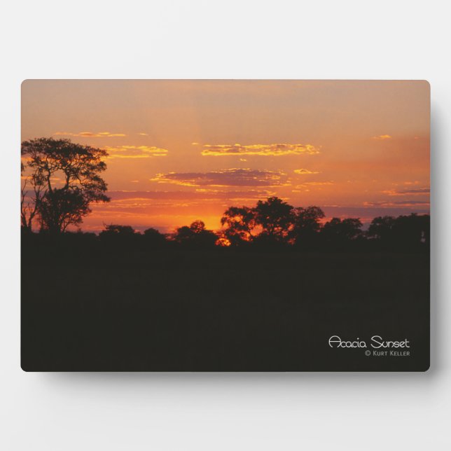 Acacia Sunset Fotoplatte (Vorderseite)