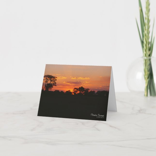 Acacia Sunset Grußkarte Karte (Vorderseite)