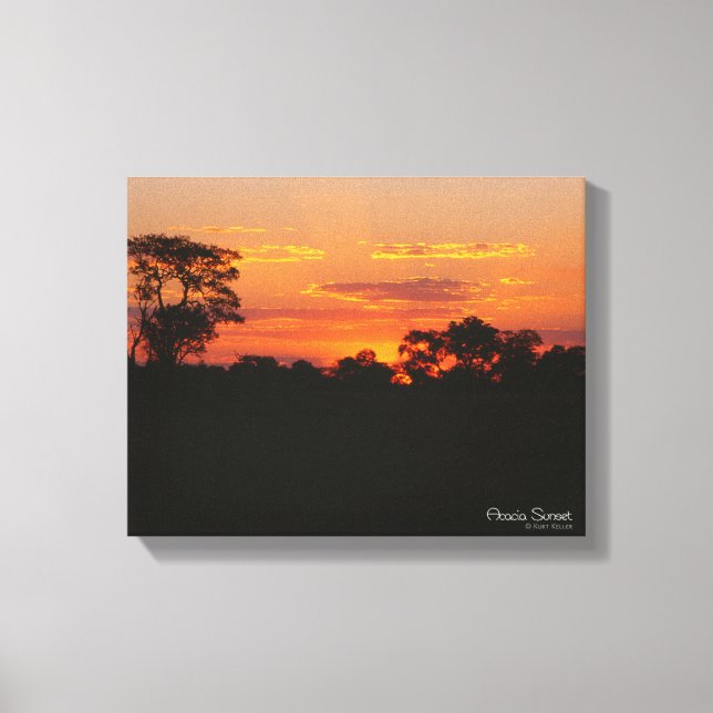 Acacia Sunset Leinwanddruck (Vorderseite)