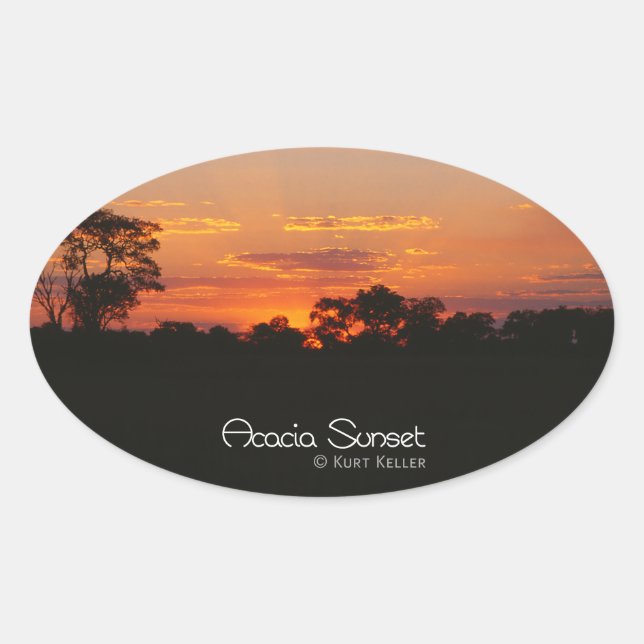 Acacia Sunset Ovaler Aufkleber (Vorderseite)