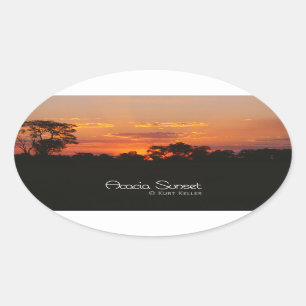 Acacia Sunset Ovaler Aufkleber