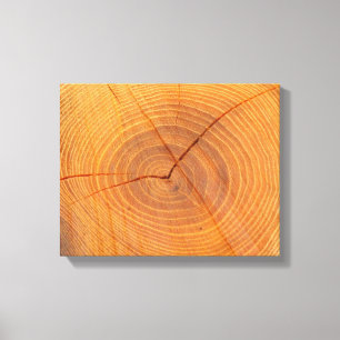 Acacia Tree Cross Section Canvas Print Leinwanddruck