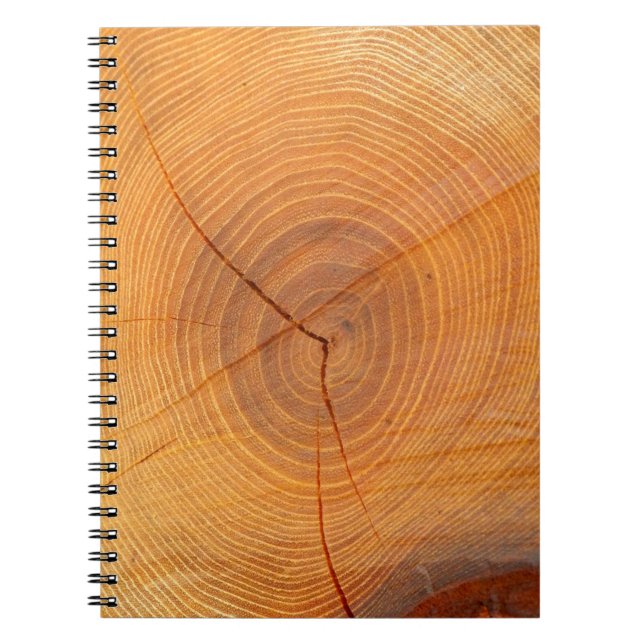 Acacia Tree Cross Section Foto Notebook Notizblock (Vorderseite)