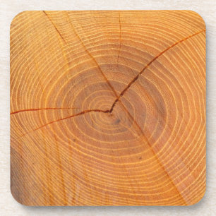 Acacia Tree Cross Section Hard Plastic Coasters Untersetzer