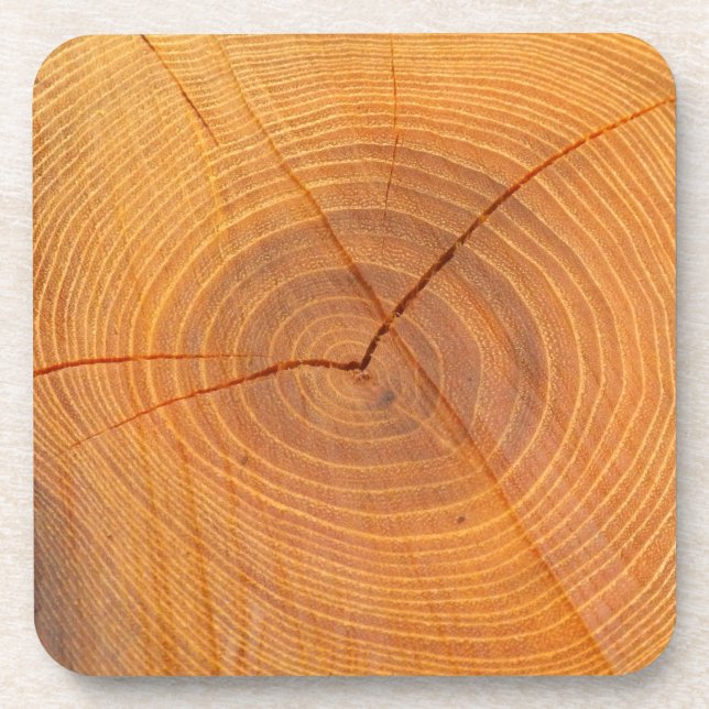 Acacia Tree Cross Section Hard Plastic Coasters Untersetzer (Vorderseite)