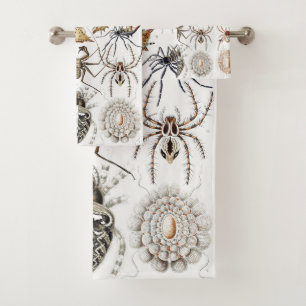 Academia Noire Haeckel Vintage Araignée Symétrie A
